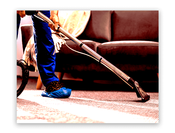 Affordable Carpet Cleaning Fulham Gardens