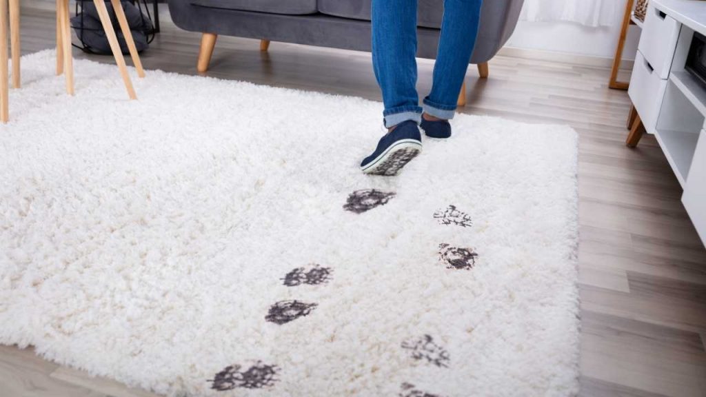 Remove Carpet Dirt At Home