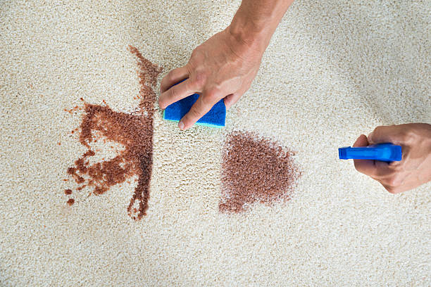 Removing Stains From The Carpet